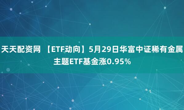天天配资网 【ETF动向】5月29日华富中证稀有金属主题ETF基金涨0.95%
